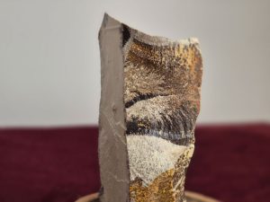 شجر دندریت روی پایه چوبی