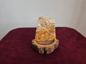 سنگ راف شجر دندریت با رنگ عسلی