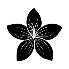 گل و گیاه